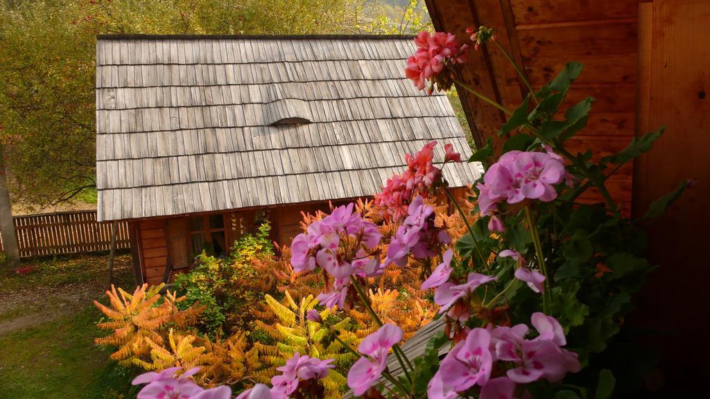 Woodenhouse Maramures Viseu de Sus Exterior photo