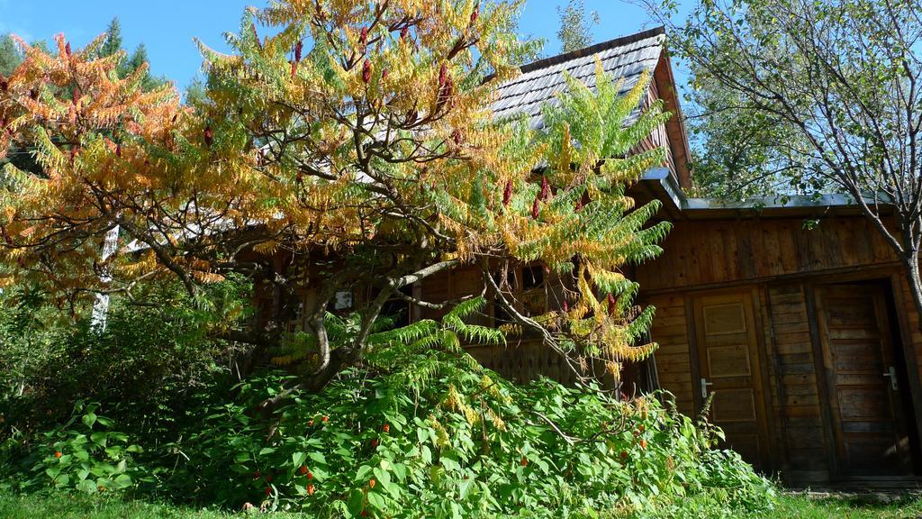 Woodenhouse Maramures Viseu de Sus Exterior photo