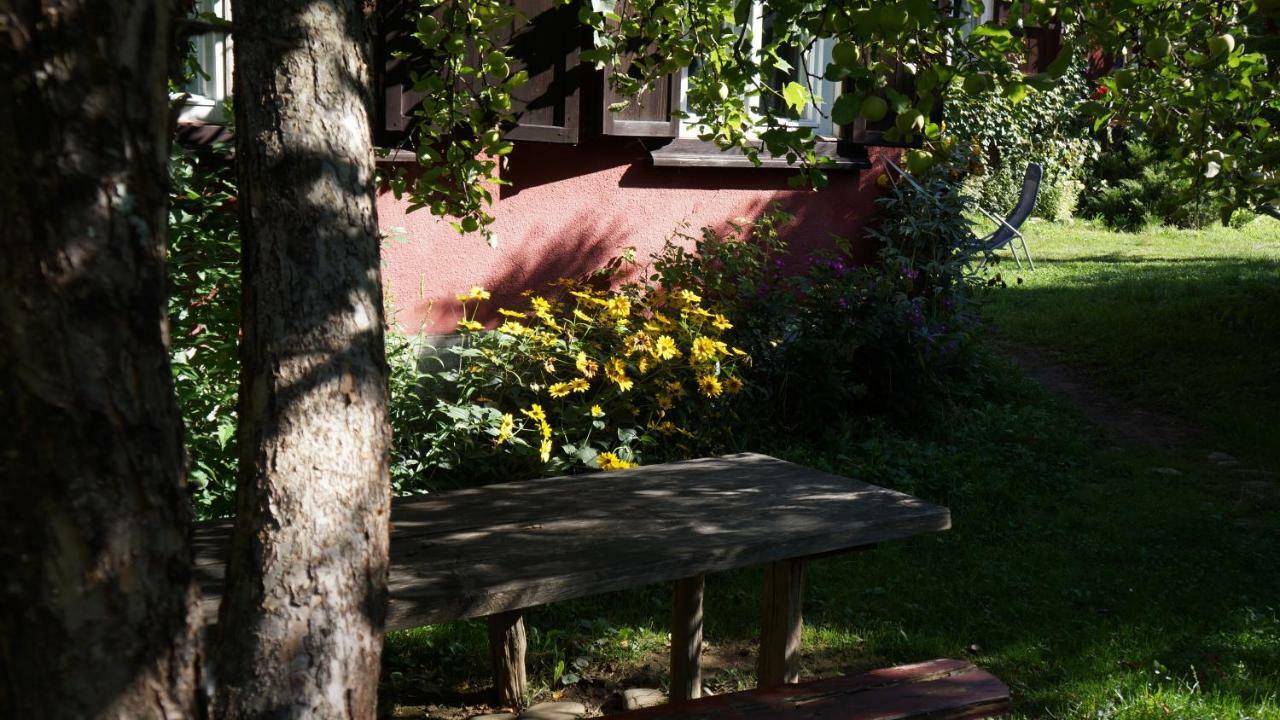 Woodenhouse Maramures Viseu de Sus Exterior photo